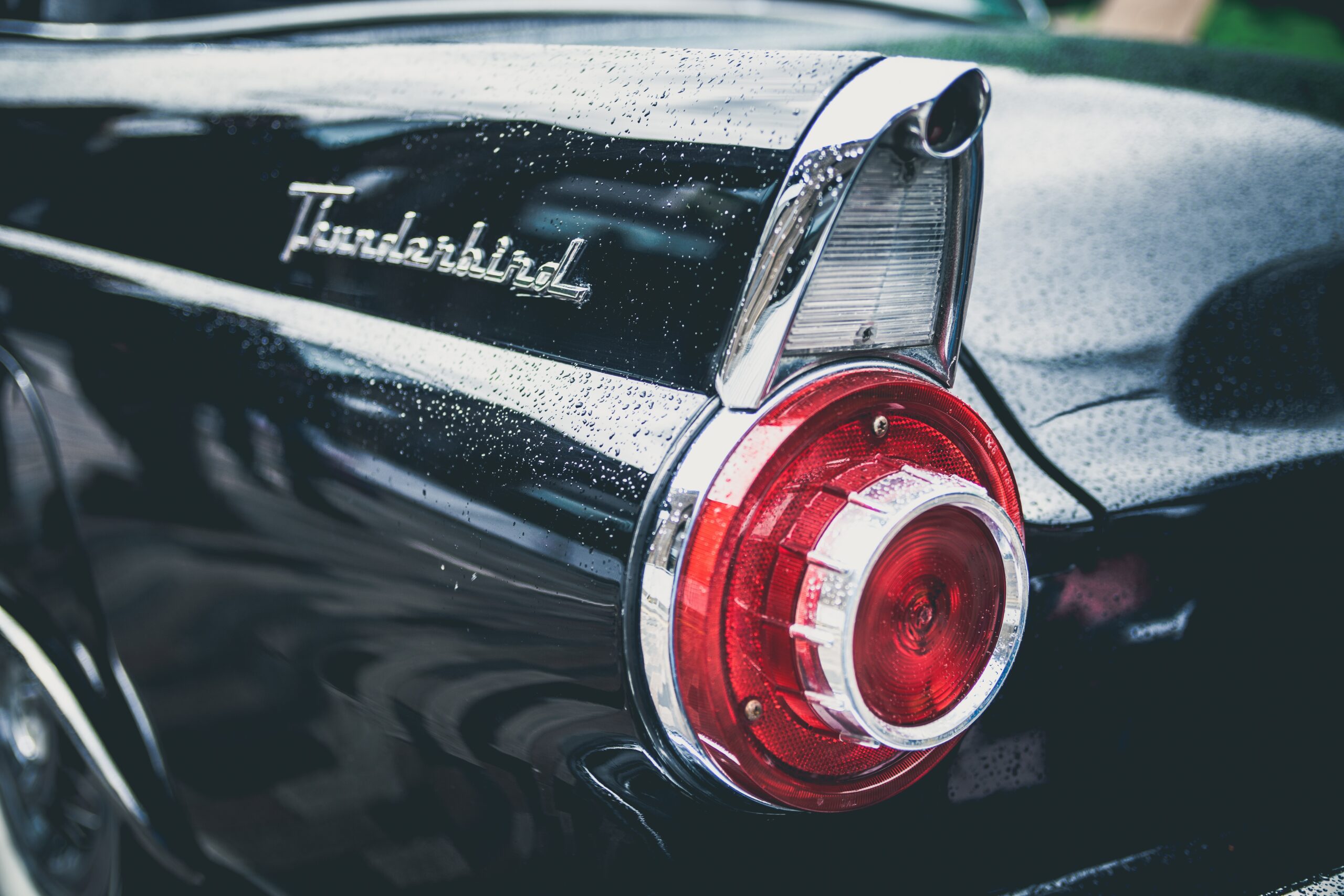 Bild von <a href="https://pixabay.com/de/users/pexels-2286921/?utm_source=link-attribution&utm_medium=referral&utm_campaign=image&utm_content=1842600">Pexels</a> auf <a href="https://pixabay.com/de//?utm_source=link-attribution&utm_medium=referral&utm_campaign=image&utm_content=1842600">Pixabay</a>